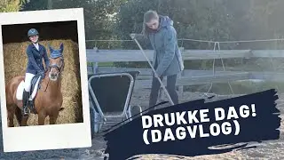 Drukke paardenplanning #dagvlog