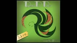 ДримбаДаДзиґа - 08. Із-за гір (live audio) (2007)