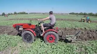 Majstrovstvá Požitavia v orbe 2020