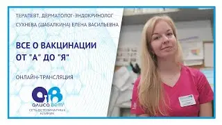 Прививки кошке и собаке (вебинар)
