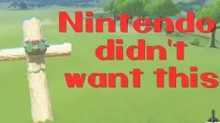 Nintendo Did Not Want This.....