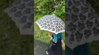 Японцы и зонтики #Shorts