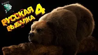 Самый Жестокий Облом Медведя !!! Русская Рыбалка 4 ! РР4