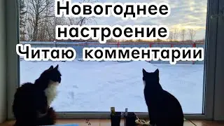 Новогоднее настроение 🎄 Читаю ваши комментарии 🤔