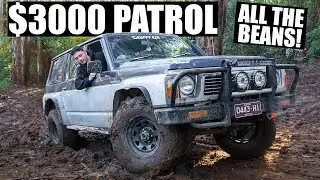 Facebook Marketplace GQ Patrol Goes BUSH BASHING!! [FULL SEND] 