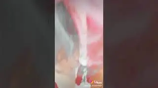 Харли Квинн