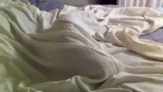 Cat Wants Out