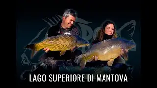CARPFISHING | LAGO SUPERIORE DI MANTOVA