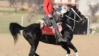 Cirit Uşak’ta oynanır.