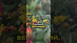 Как важно БОДРСТВОВАТЬ !!!