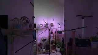 Bamworld Hanging Plant Stand 5 tier