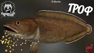 МЕНЕК - ТРОФЕЙНЫЙ - НОРВЕЖСКОЕ МОРЕ 💥 РУССКАЯ РЫБАЛКА 4 | RUSSIAN FISHING 4🐟@Z-B-G ​