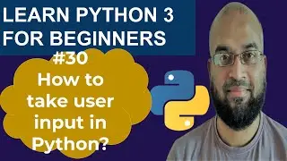 How to take user input in python? User input in Python
