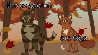Коты воители. Клип Белка и Еживика:ЗАКАЗ: - Это не девочка, это беда