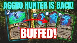The Reverts Put Aggro Hunter Back On The Map!