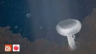 Rift. Fully procedural animation created in Houdini FX with Redshift 3D