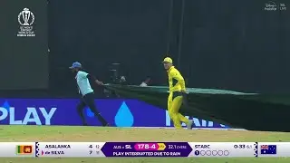David Warner Won Everyone Heart By Helping Grounds Staff During Rain In SA vs AUS | SA vs AUS Match
