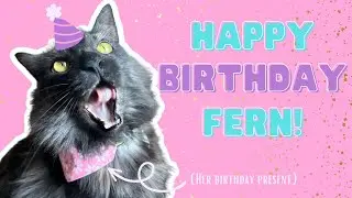 Making a teeny tiny bandana for my cat's birthday! 🐈‍⬛🎂