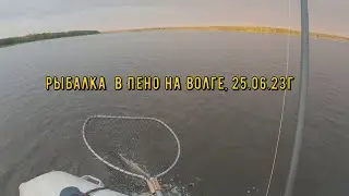 рыбалка в Пено на Волге, 25 06 23г