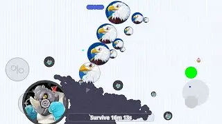 HOW TO KILL MACRO PLAYERS (Agar.io Mobile)