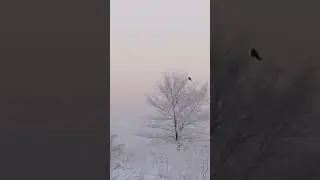 Мороз. Почему же так холодно.....