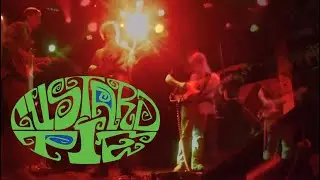 Live Music - Custard Pie - Burrito