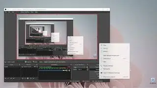 Шиндоус 11