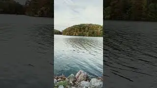 Fall trees and lake.