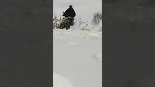 Скаут Сафари