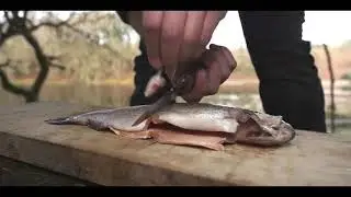 Bushcraft - Fire and Water