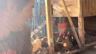 Fall chill homestead checking
