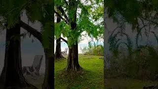 Amazing !