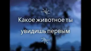 Урок ИНТУИЦИИ - тест на тип личности по картинке - сам себе психолог 🌼