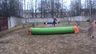 Айва 2