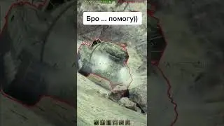 Вот это выстрел