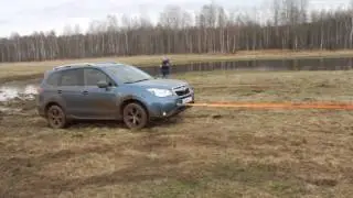Subaru Forester в болоте
