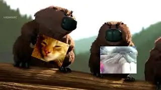 бля бобры
