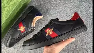 Guci Ace Embroidered