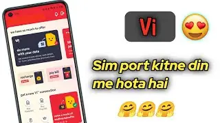 Vi sim port kitne din me hota hai