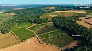 A general overview of the Vézelay appellation