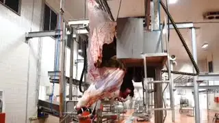pull the skin.