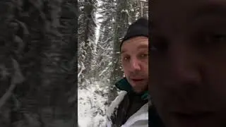 Сибирская охота 👍