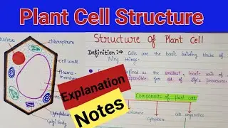 Plant cell structure and function | Plant cell structure | Plant cell structure and function notes