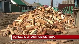 ГОРБЫЛЬ В ЧАСТНОМ СЕКТОРЕ