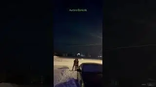 Caught the Northern lights #alaska #kids #auroraborealis #northernlights
