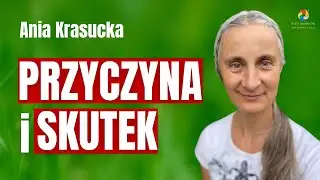 Przyczyna i skutek. Anna Krasucka LIVE
