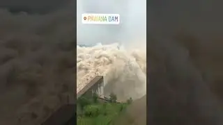 #2019