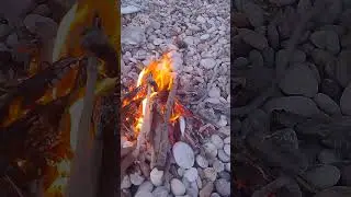 coba perhatikan baik-baik