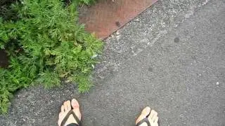tong / tarmac / flip flop