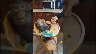Тик ток😀Не не Я пить не буду😂
